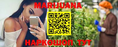 индика Новозыбков