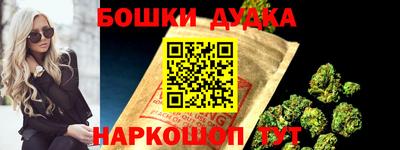 индика Новозыбков