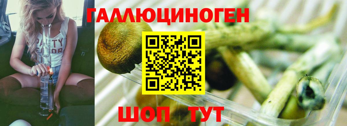 Галлюциногенные грибы прущие грибы  Вход с VPN  Усинск  Псилоцибиновые грибы мухоморы 